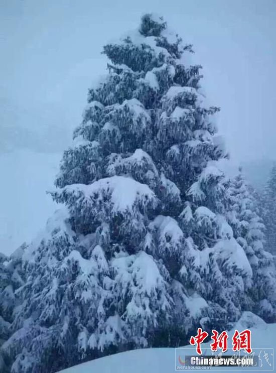 新疆北部地區(qū)出現(xiàn)降雪