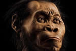 南非現新人種遺骸 南非人類考古學家發現疑似新人種