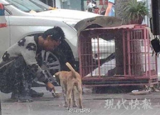 男子將狗糧吃光