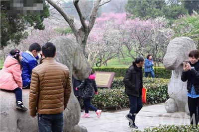 騎在文物上自拍的不文明行為