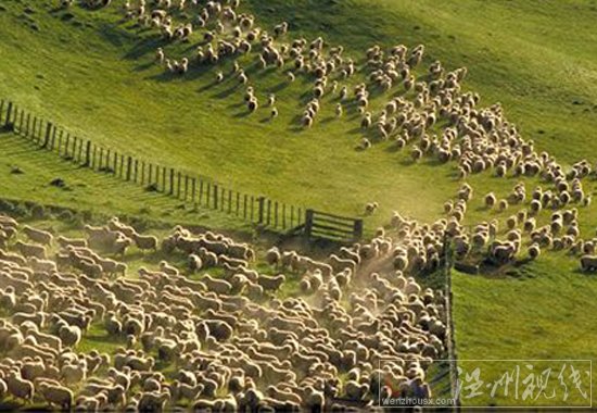 中國財(cái)團(tuán)買下澳洲一個(gè)浙江省大的土地