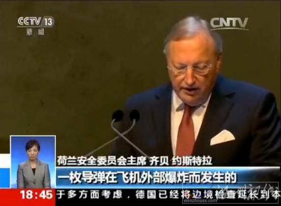 馬航MH17事故原因