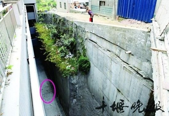 17歲女生走路玩手機(jī)摔死