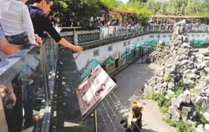 動物園投食嚴重