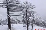 云南多地十月降雪是怎么回事 云南十月下雪不科學(xué)呀