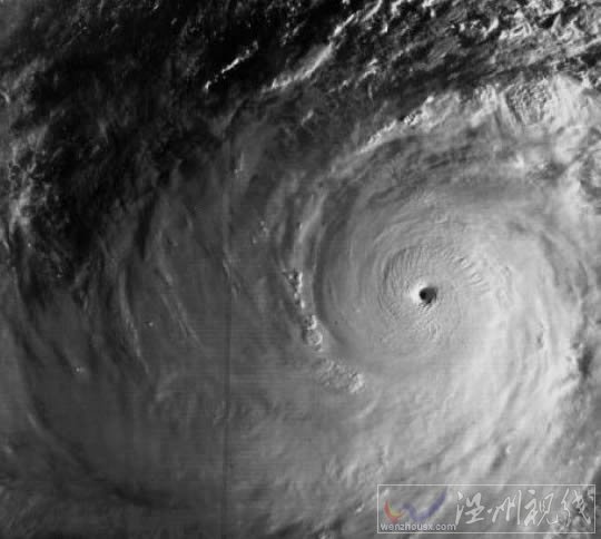 歷史上最大的臺風泰培