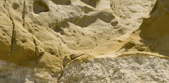 人體彩繪藝術圖片