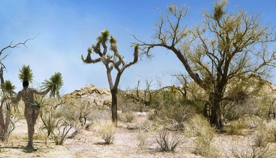 人體彩繪藝術圖片