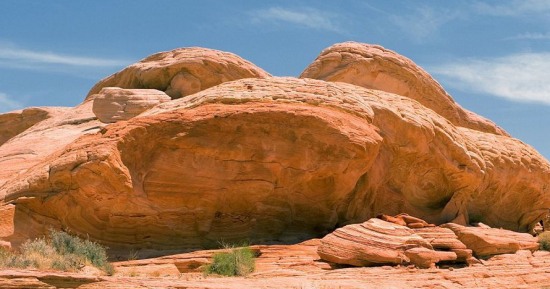 國外人體彩繪藝術(shù)圖片