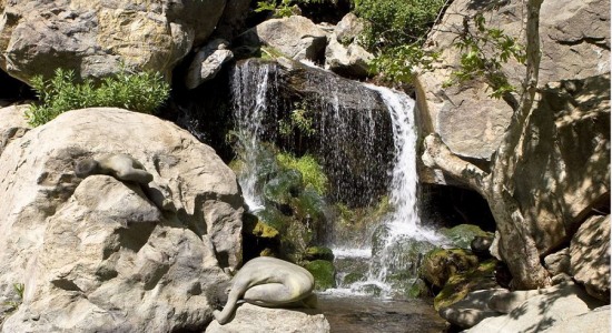 國外人體彩繪藝術(shù)圖片