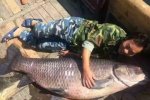 千島湖捕獲180斤青魚王長175公分 網友大呼放生