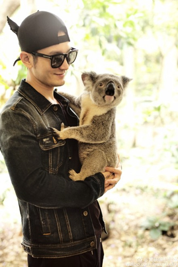 黃曉明懷抱考拉