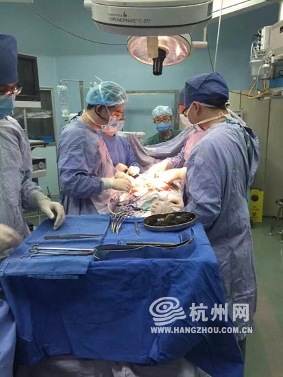 吃柿子導致胃結石