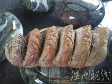 瀘州古藺發現多牙怪獸化石