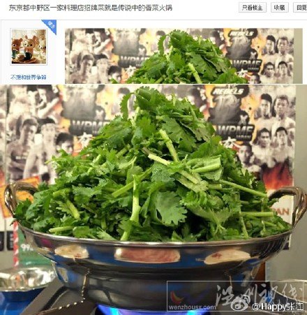 香菜火鍋走紅