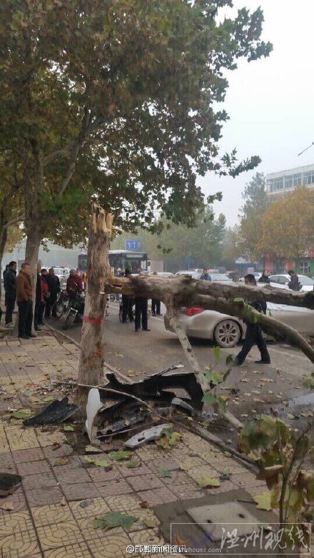 肇事司機(jī)已經(jīng)被控制