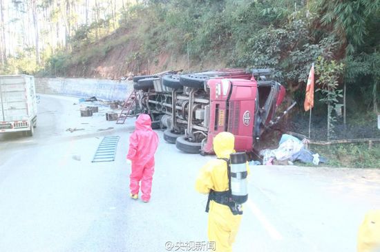 200萬蜜蜂堵國道