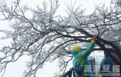 張家界天門山霧凇奇觀