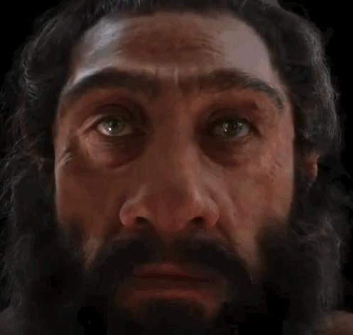 人類臉部進(jìn)化史