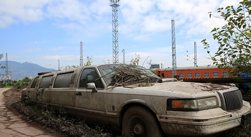 僵尸林肯被開走了