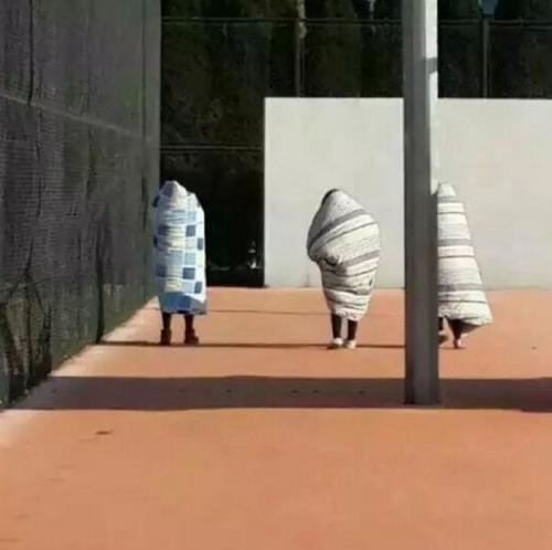 女生裹被走紅網絡