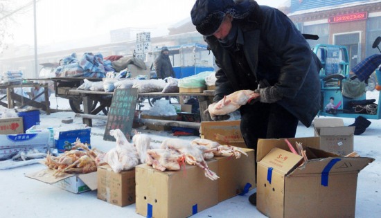 呼倫貝爾市遭遇極端低溫天氣