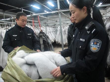 杭州海關查獲8.8億元皮草