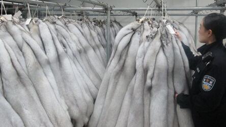 杭州海關查獲8.8億元皮草