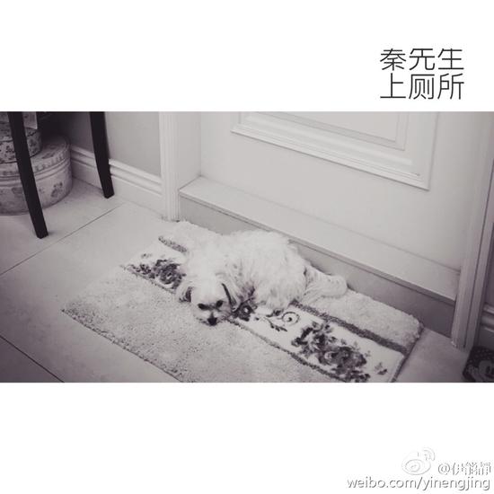 伊能靜嫉妒愛犬