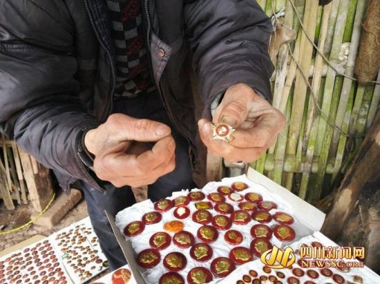 搞收藏住茅草屋