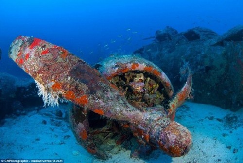 南太平洋海底發現二戰軍機