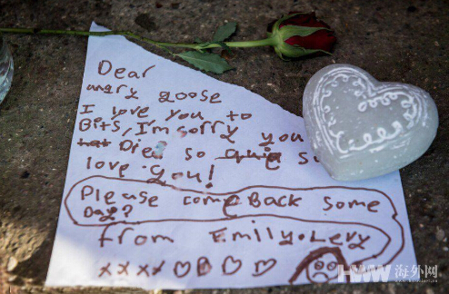 250萬緝殺鵝兇手