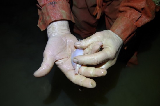 廣西現420米天坑