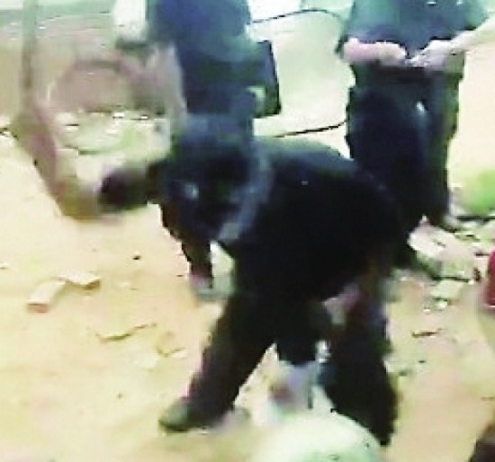 海口強拆暴力執法