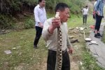 金華驚現五步蛇 是毒蛇