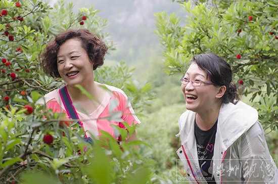 舒軒楊梅采摘活動(dòng)