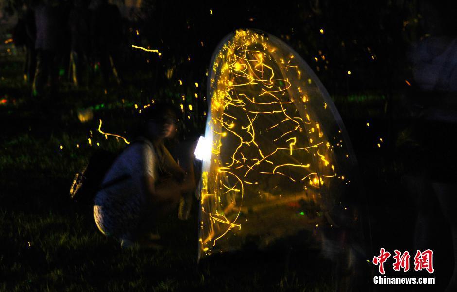 南昌梅嶺螢火蟲輕舞飛揚，流光溢彩。