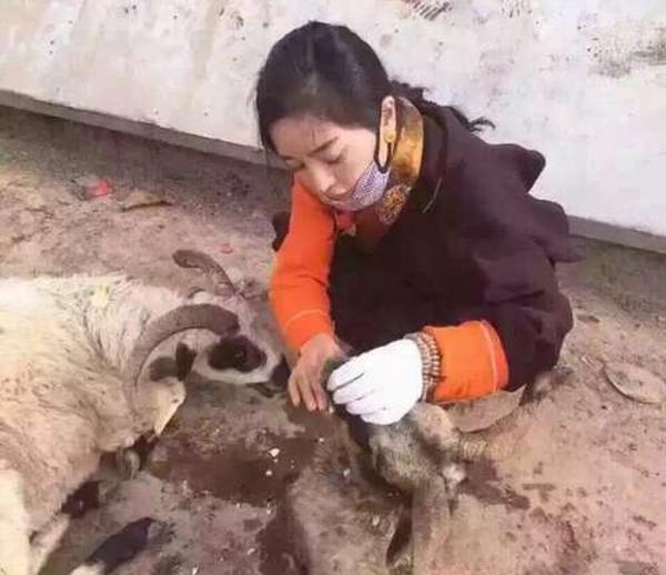 女子花巨資放生