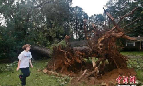 美國颶風赫米納