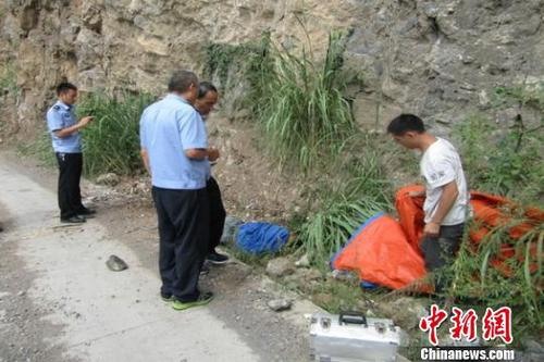 摘馬蜂窩遭襲擊