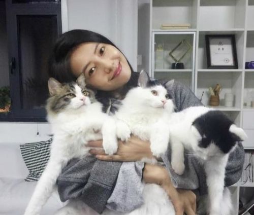 高圓圓發文疑懷孕