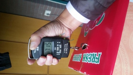 蘋果紙箱灌水泥