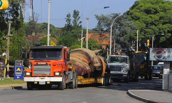 貨車運載巨型怪物