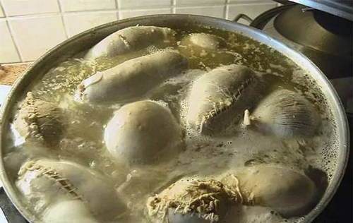 暗黑美食鼻祖在冰島