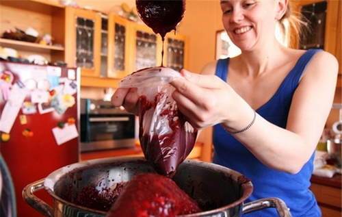 暗黑美食鼻祖在冰島