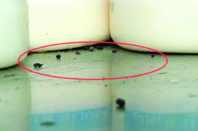 韓寒餐廳被關停