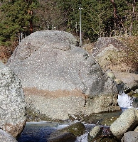 日本冥想獼猴走紅