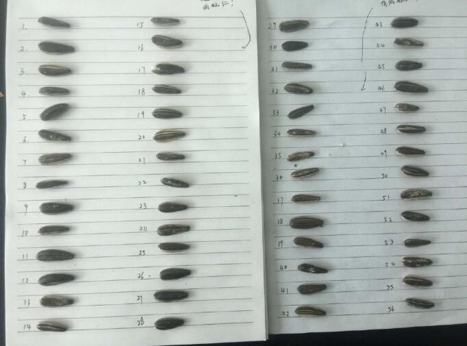 曬幸福遭室友整蠱