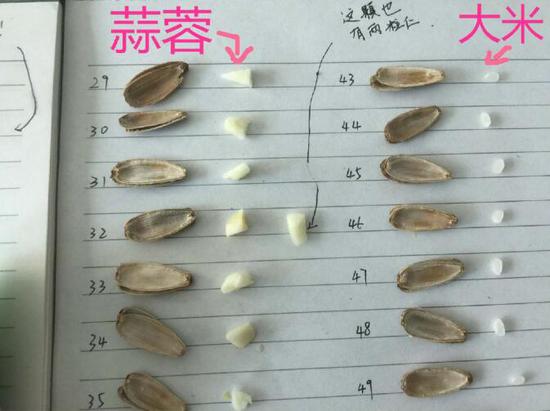 曬幸福遭室友整蠱