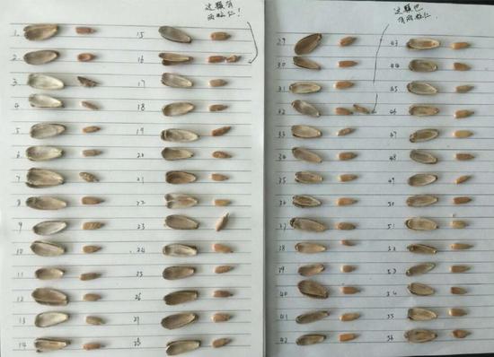 曬幸福遭室友整蠱